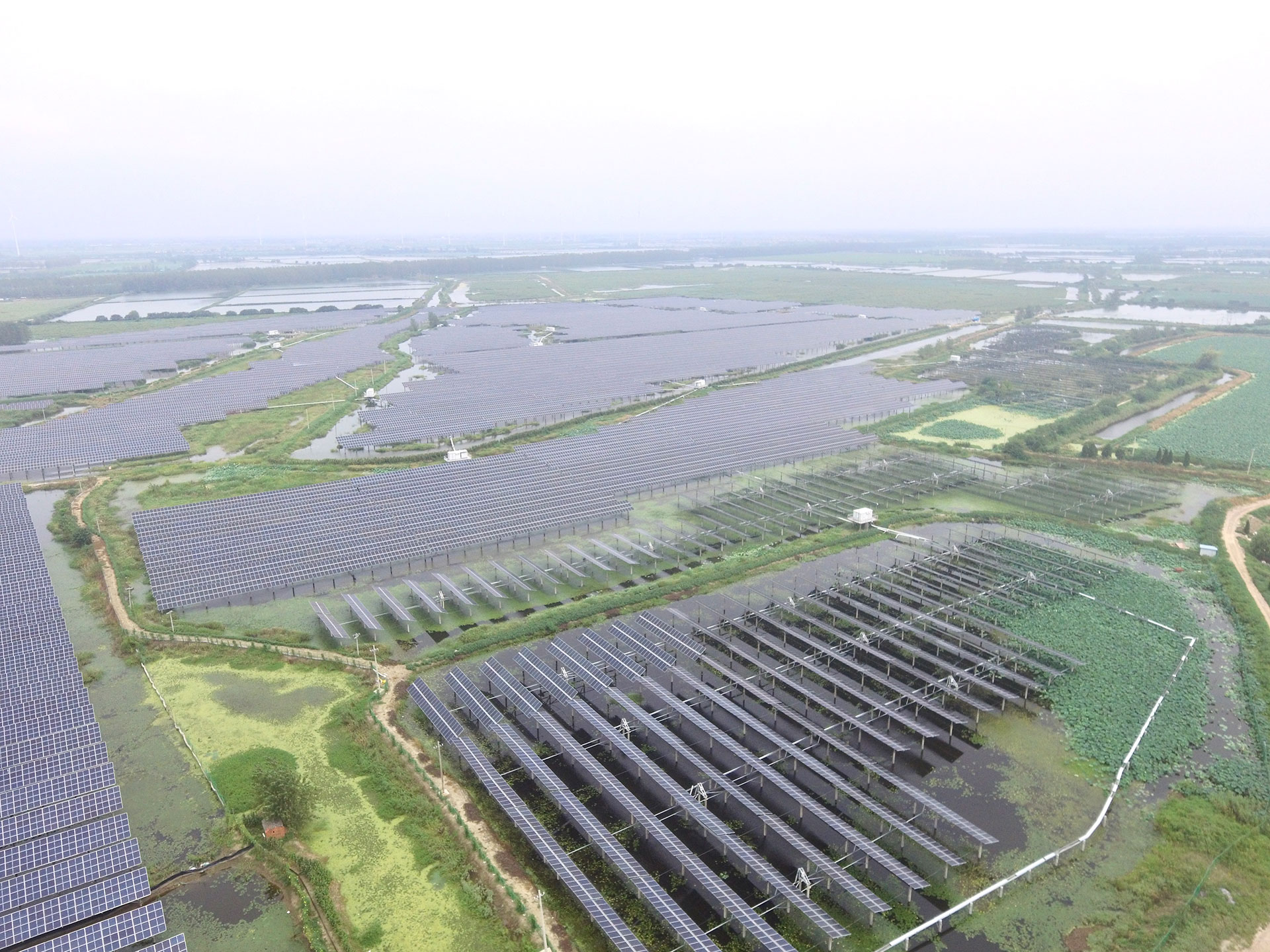 壹号娱乐科技江苏扬州宝应光伏发电应用领跑基地2号100兆瓦项目
